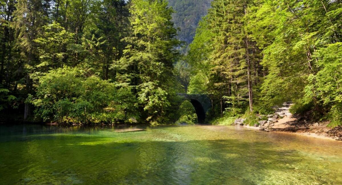 Vacation Station Kamnik Διαμέρισμα Εξωτερικό φωτογραφία